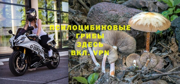 винт Абдулино