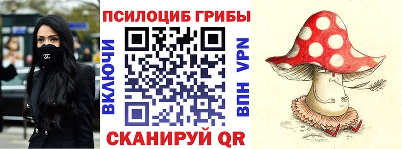 Псилоцибиновые грибы GOLDEN TEACHER  Вытегра 