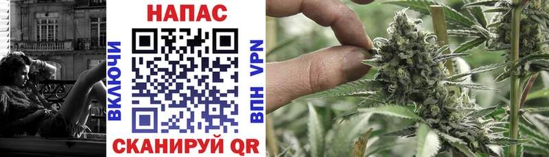 Бошки Шишки конопля  Вытегра 